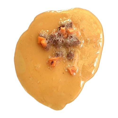 Mock Throw Up Toy - Kunstfestes Stück, Knebel Barf Prop | Halloween -Event -Streich, Authentisches Falsches Kotze, Gruseliger Event -Trick, Unterrichtsausstellungswerkzeug, Realistische Barfungsarbeit