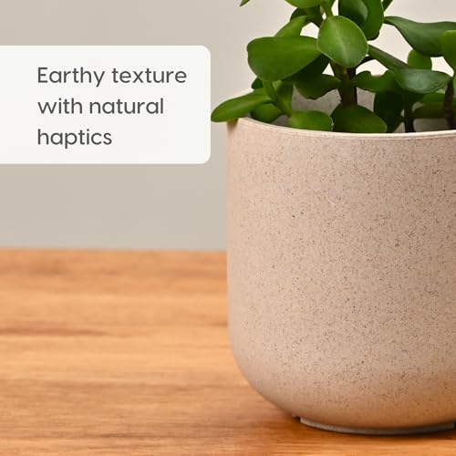 Image of Eha Earth-Friendly Terrapod Planters for Home Decor | 3.5 Inch, Pack of 6 | Small Plant Pot Made with Rice Husk Biocomposite | Flower Pot for Living Room | Sand Castle