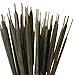 50 Stem Bundle of All-Natural Cattail Stems, Dried Decorative Drop-in Bouquet, 28” Tall Rustic, Farmhouse, and Holiday Décor, Long-Lasting Natural Arrangement (Moss Green)
