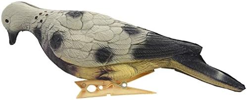 Carreteiro Foam Dove Simulation Bait 3D Pigeon Field Hunting Simulation Decoy Archery for Outdoor
