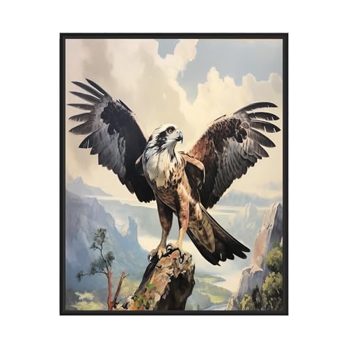 Osprey Art Print Poster, Falcon, Hawk, Eagle Drawing, Birds of