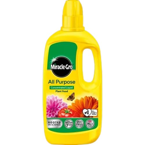 MiracleGro All Purpose Concentrated Liquid Plant Food 800mL β NPK 7-3-5, Ideal for Pots, Containers, Hanging Baskets, Beds & Borders β Feeds Every 1-2 Weeks for Healthy Plant Growth