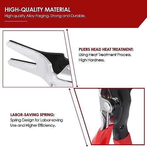 Keenso Pinza per tubi di carburante per auto, tubo...