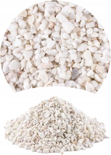 TD STONES Malawi Kies Weiß Dolomit 2kg 1-4mm – pH-stabilisierender Naturkies für Biotop-Aquarien, Fische & Garnelen – Dekorativer, schadstofffreier Bodengrund für Pflanzen, Aquascaping & Aquariendeko