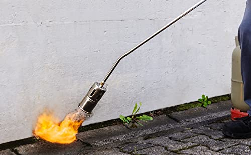ROTHENBERGER Industrial Heating Torch RoMaxi Eco incl. 5m Propane Gas Hose, Weed Killer, Bitumen sheeting, Film Welding