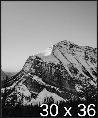 Frame It Easy 30 x 36 1/2 Satin Black Metal Frame (Ashford) 30x36.5 inches