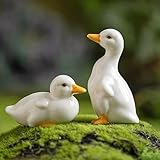 AKV Ceramic Duck Statue Cute Mini Duck Figurines for Home Office Desktop Decor, Handmade Small Duck Decorations, Ceramic Animal Figurines for Garden Porch Decor, Duck Gifts for Duck Lover (Set of 2)