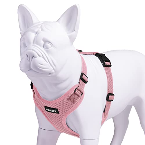 Peitoral para animais de estimação Voyager Step-in Lock - malha para todos os climas, arnês ajustáve