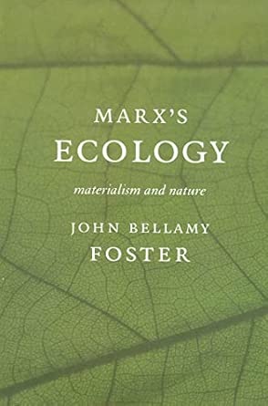 Marxâ (Tm)S Ecology: Materialism and Nature book cover