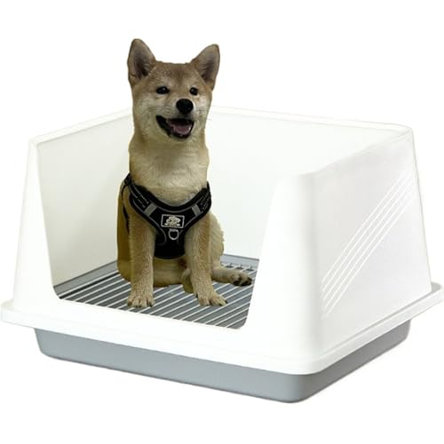 EnergyLion nCtFXpgC{bNX XeXX`[bVJo[ ^璆^ɓKĂ hH g[jOgpɓKĂ LXƂĂ |ȒPŎpI XRbvƔAKChRt (Ԋu 18mm,O[)