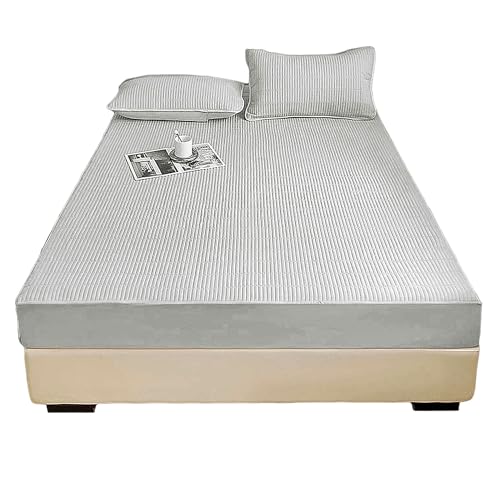 CAPASTEC hV[c {bNXV[c }bgXJo[ ~pbh xbhJo[ xbhpbh V[c xr[phV[c ~zcJo[ EȒP SSt _炩ɗD z ʋC ې􂢉\ I[V[Y ыʂȂ cX