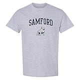 UGP Campus Apparel AS1008 - Samford University Bulldogs Arch Logo - Sports Team T Shirt - Large - Sport Grey