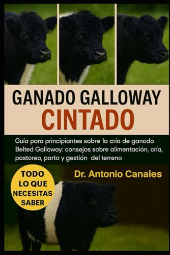 GANADO GALLOWAY CINTADO: Guia para principiantes sobre la cria de ganado Belted Galloway: consejos sobre alimentacion, cria, pas