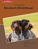 Traumrasse Deutsch Drahthaar (German Edition)