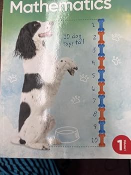 Paperback I-Ready Classroom: Mathematics Grade 1 Volume 1 Book