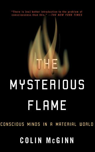 The Mysterious Flame view 2