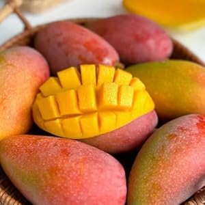 Generic Mango Bio Saatgut Seltene Pflanzen 5pcs