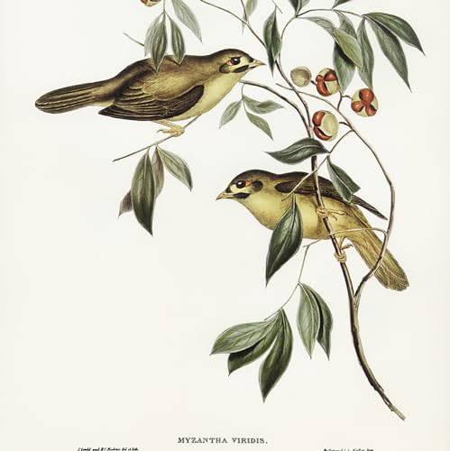 Store enrouleur perméable sans perçage 50x50 cm rideau occultant léger oiseaux - 8