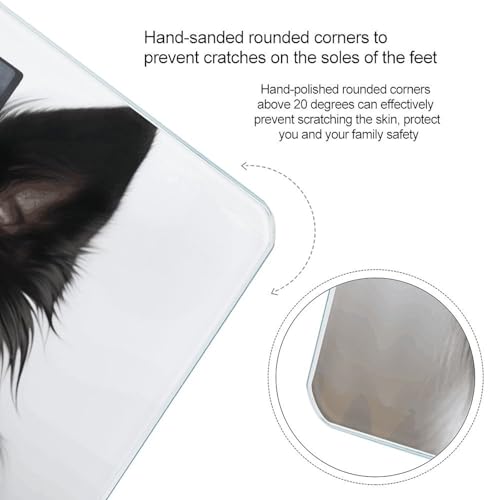 Báscula digital para baño Border Collie 400 lb miniatura 4
