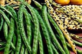 Black Eyed Peas! Grande per la cottura! 30 semi -Comb. S/H! Vedere il nostro deposito!