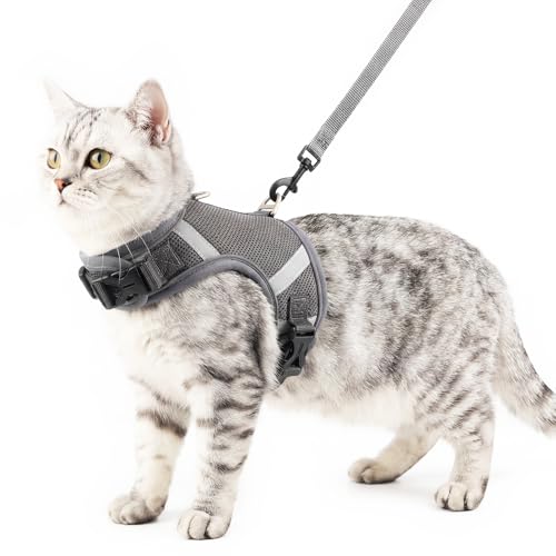 pangdi Cat Harness and Leash Escape Proof Kitten Harness Cat