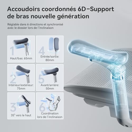 SIHOO Doro C300 Pro Chaise Bureau Ergonomique avec accoudoirs 6D Ultra Doux, Soutien Lombaire Dynamique et Ajustement de la Profondeur du siège pour Le Bureau à Domicile (Grigio), Expédiée en 2 Colis