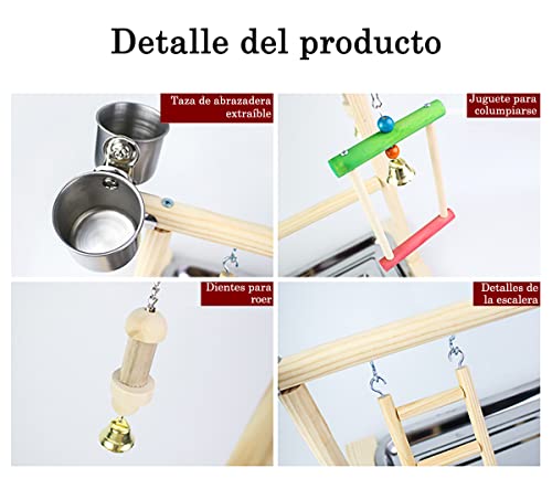 Review de Periquitos los 10 mejores. 22 Imagen adicional