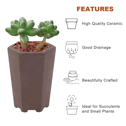 happy bonsai Zisha Mini-Bonsai-Töpfe, 5,1 cm breit, 4 Stück