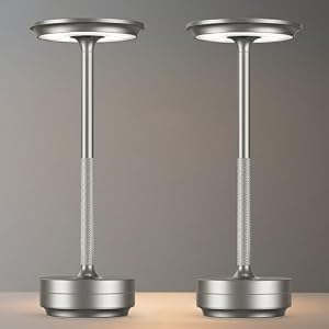 EJQ Cordless Rechargeable Table Lamp, Portable 5000mAh Battery Desk Lamp Waterproof 3 Color Stepless Dimming LED Table Light with Memory Function for Outdoor/Dinning/Patio/Restaurant (Sliver 2Pack)