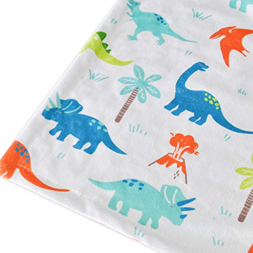 Image of HOMRITAR Baby Blanket for Kids Super Soft Minky Blanket with Dotted Backing, Dinosaurs Multicolor Printed for Toddlers Nursery 30 x 40 inch (75 x 100 cm)