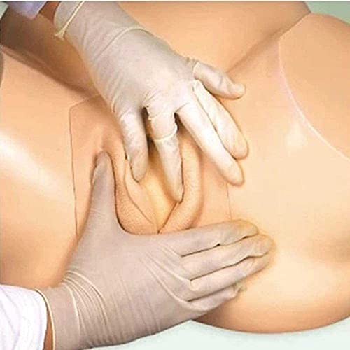 Simulation d'accouchement mannequin anatomique enseignement infirmier - 5