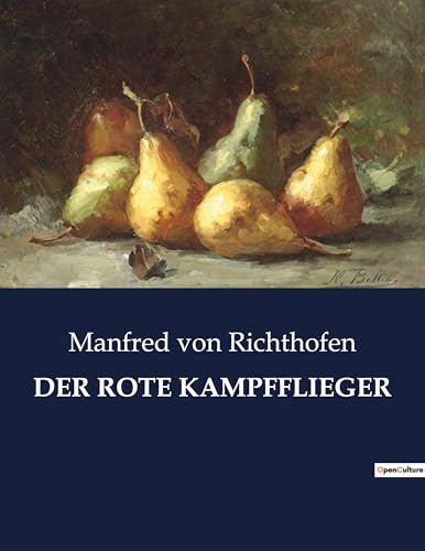 Der Rote Kampfflieger: Erlebnisse und Erfahrungen eines deutschen Jagdfliegers im Ersten Weltkrieg (German Edition)