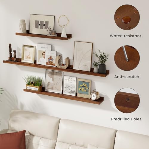 Acovy Solid Ash Wood Picture Ledge Shelf, 36 Inch Floating Shelves with Lip Set of 2, Photo Ledge Shelf Nursery Bookshelf Wall Mounted for Living Room Bedroom Decor, Walnut