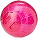 Walter Harrisons Small Animal Plastic Running Exercise Ball for Hamsters and Gerbils - Medium - 18 cm