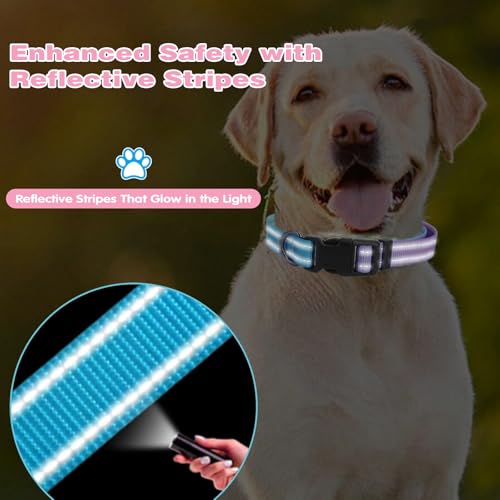 Collier réfléchissant pour chien nylon bleu M réglable et résistant - 5