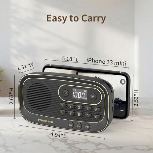 Radio FM portable Bluetooth avec autonomie Type-C et lecture micro SD - 6
