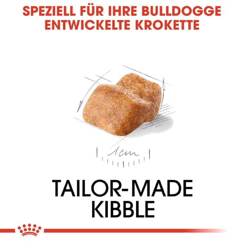 ROYAL CANIN Bulldog Puppy Trockennahrung für Hunde – 12 kg