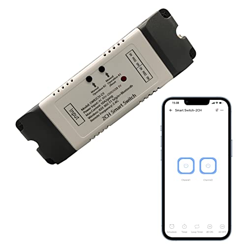 Jane Eyre 2 Channel USB 5V/AC85V-250V Smart WiFi Switch Relay Inching/Self-Locking Switch Module DIY Smart Home, Support eWeLink APP Control, Compatible with Alexa Google Home