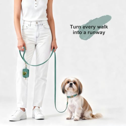 Image of Didog Soft PU Leather Dog Collar for Small Dogs, Quick Release, Green S