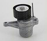  Triscan 8641 103040 Brazo tensor, correa trapecial poli V