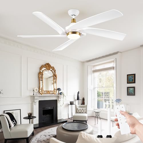 Fanbulous 60 Inch Ceiling Fans with Lights and Remote,5 Blades