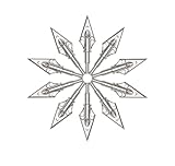 Cuoyuqie 12pcs Archery Broadheads 50Grain...