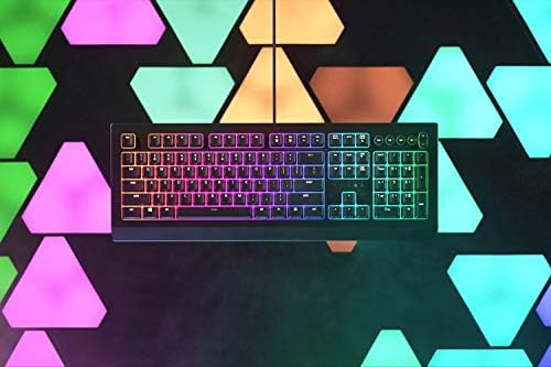 Razer Cynosa V2 Gaming Keyboard: Customizable Chroma RGB Lighting - Individually Backlit Keys - Spill-Resistant Design - Programmable Macro Functionality - Dedicated Media Keys - 5