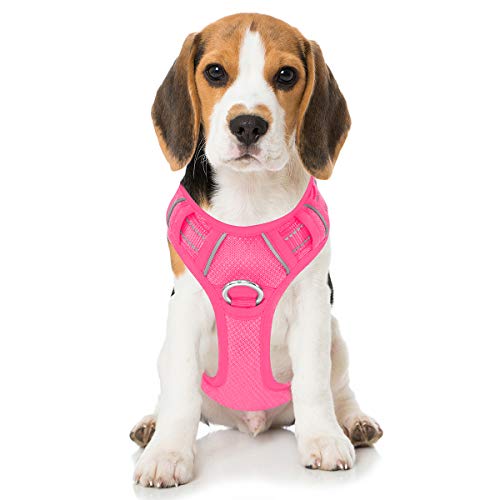Best Harness For Beagle A Complete Guide