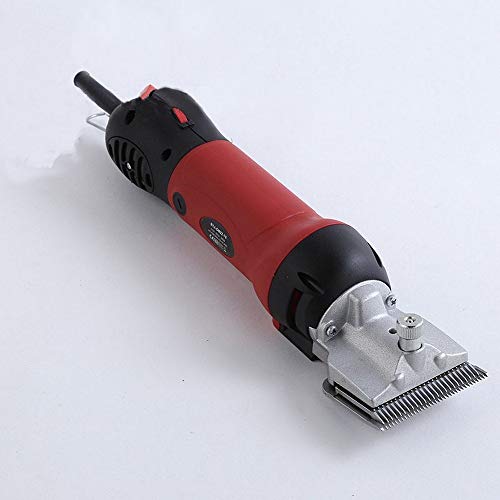 Best Cattle Clippers