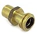 Rego 7141M Quick Disconnect Service Check Valve Connector, 3/8" NPT Female Inlet x 1-1/4" ACME Male Outlet