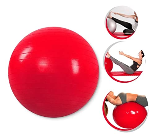 Bola Pilates Ginástica Fisioterapia Suiça 55cm 200kg Cores