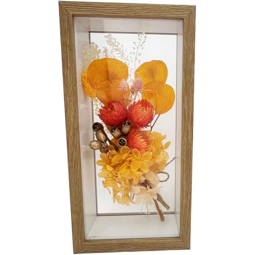 L[t(Q-FLA) {bNX hCt[t[ AW IW ̓ Mtg 785726