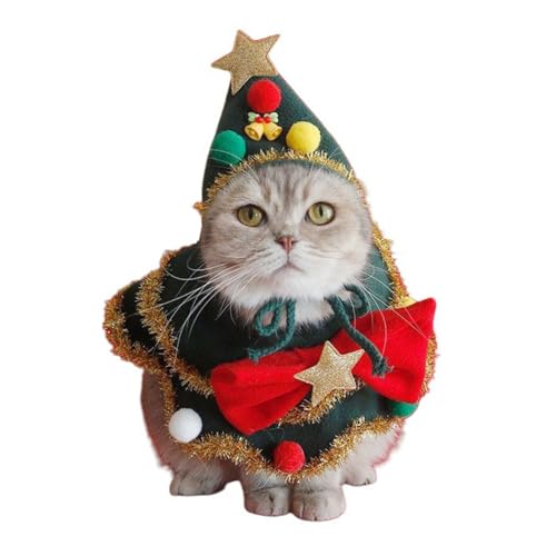 NX}X ybg }g RX`[ NX}Xc[Xq L RXv  JWA ӂӂ _炩 ϐg  ^ ^ O[ (S)