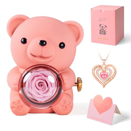 mountova Cute Teddy Bear with Preserved Rose and Necklace, Romantic Bear Roses Gifts with Jewellery Storage for Women, Girlfriend, Wife, Valentines Day Gift, Forever Eternal Rose Flower Decor, Pink